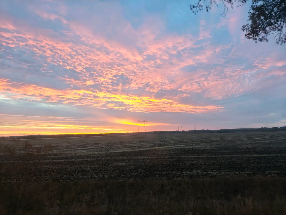 GIF uploaded by Szilvi