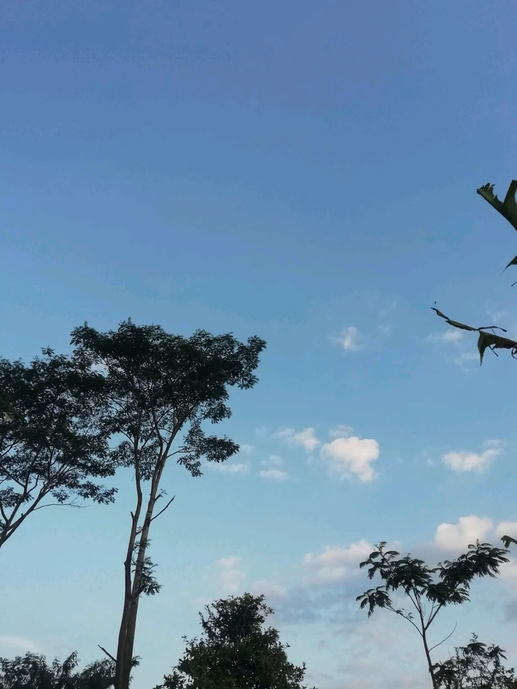 Gambar diunggah ku Amyoktaviana