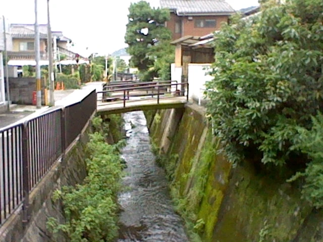 GIF yakaiswa naMateo