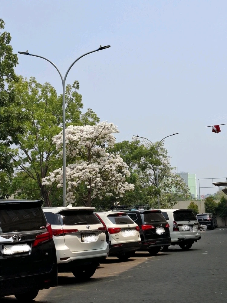 GIF dimuat naik oleh yunn