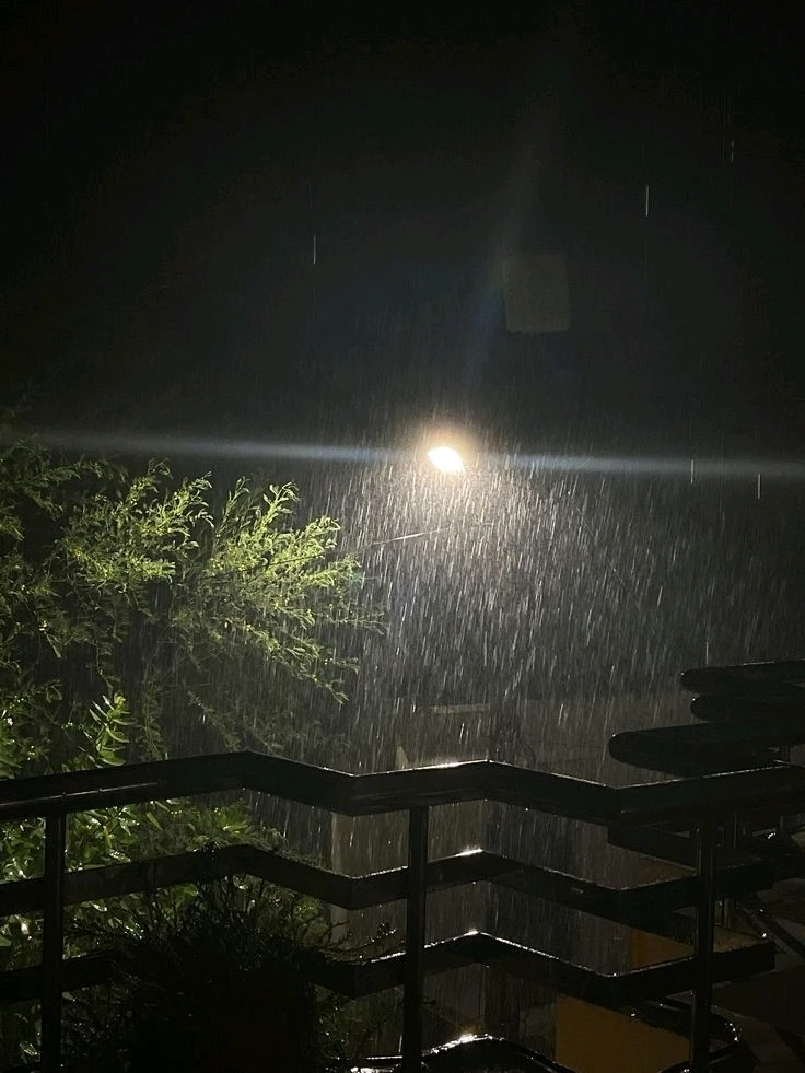 Adi દ્વારા અપલોડ કરેલી છબી