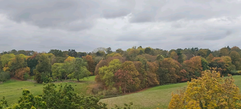 GIF ajouté par ELITE