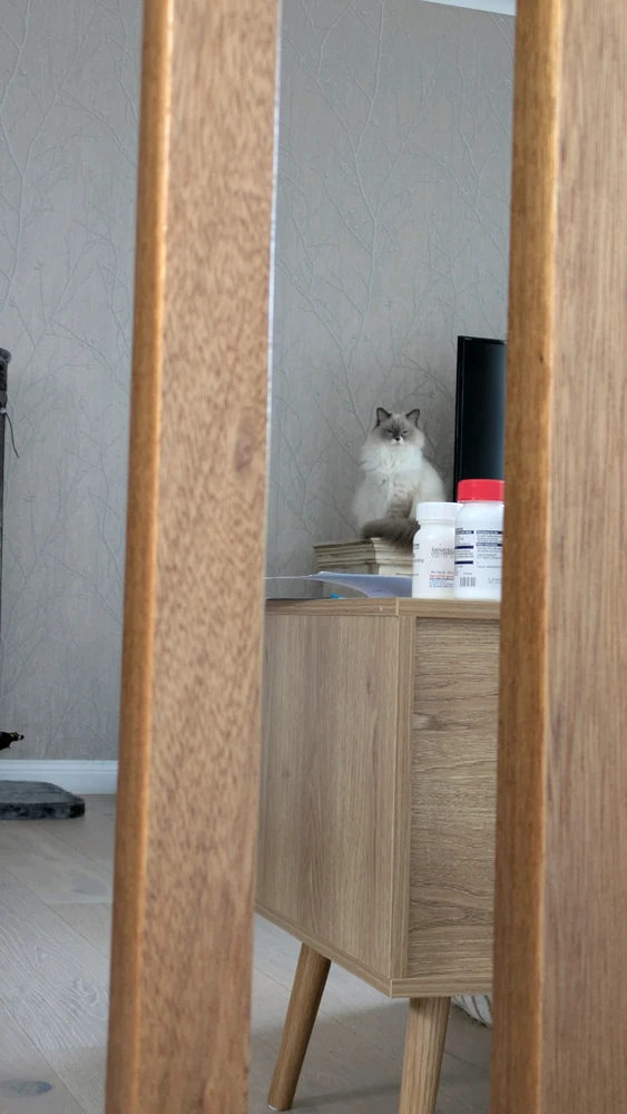 Foto nke Sarah tinyere