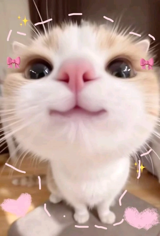 GIF Krishhh te mete