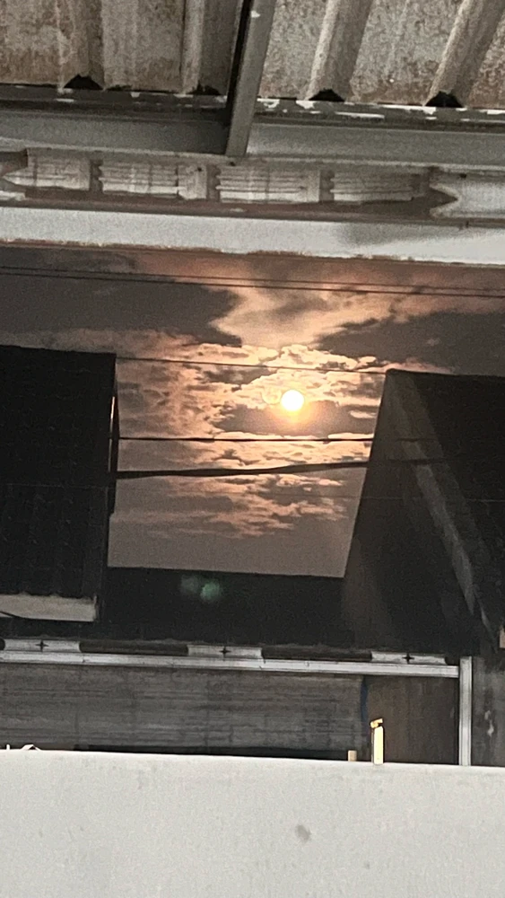 GIF uploaded by Lia