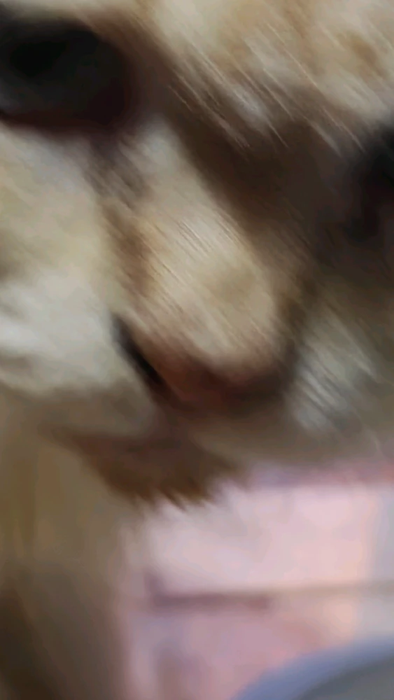 GIF ανέβηκε από Zuhier