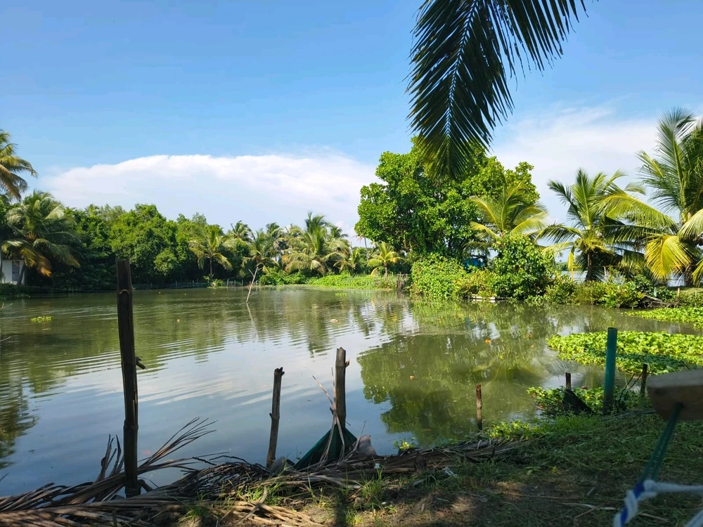 GIF បង្ហោះដោយ Kamal