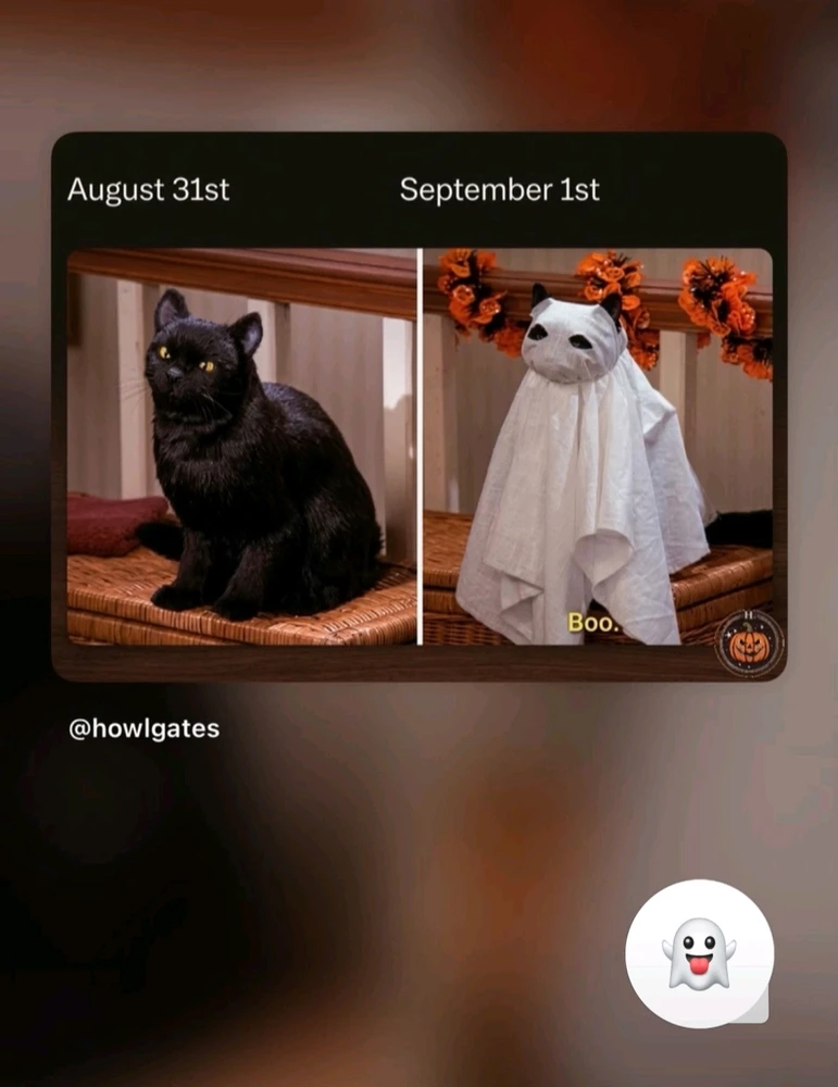 GIF аз тарафи Maili бор шуд
