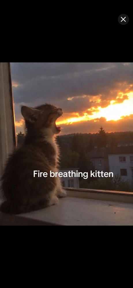 GIF na auina ae e Iago