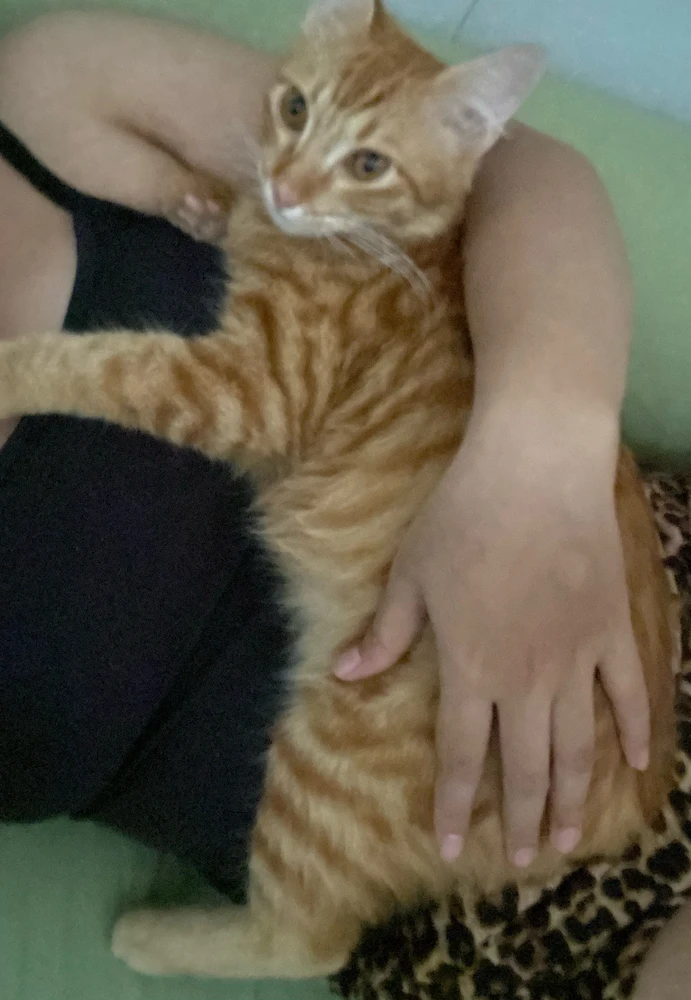 GIF na auina ae e Putri Sabiyya