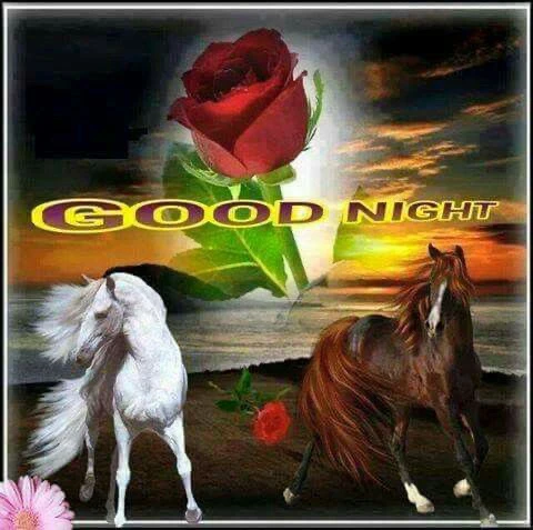 xintian అప్‌లోడ్ చేసిన GIF