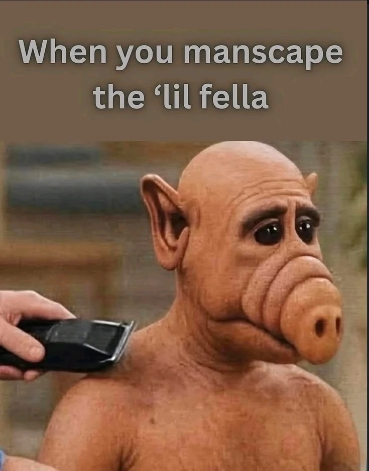 GIF eropgeluede vum Sheila