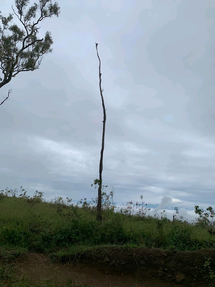 Image uploaded by Aarnav