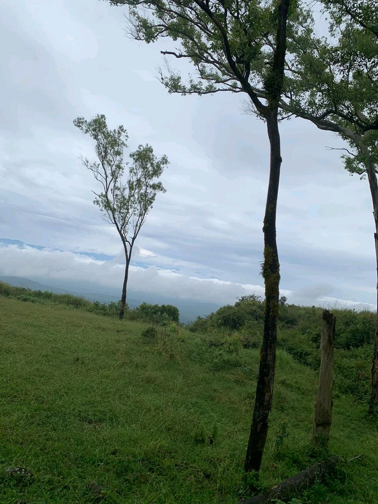 Image uploaded by Aarnav