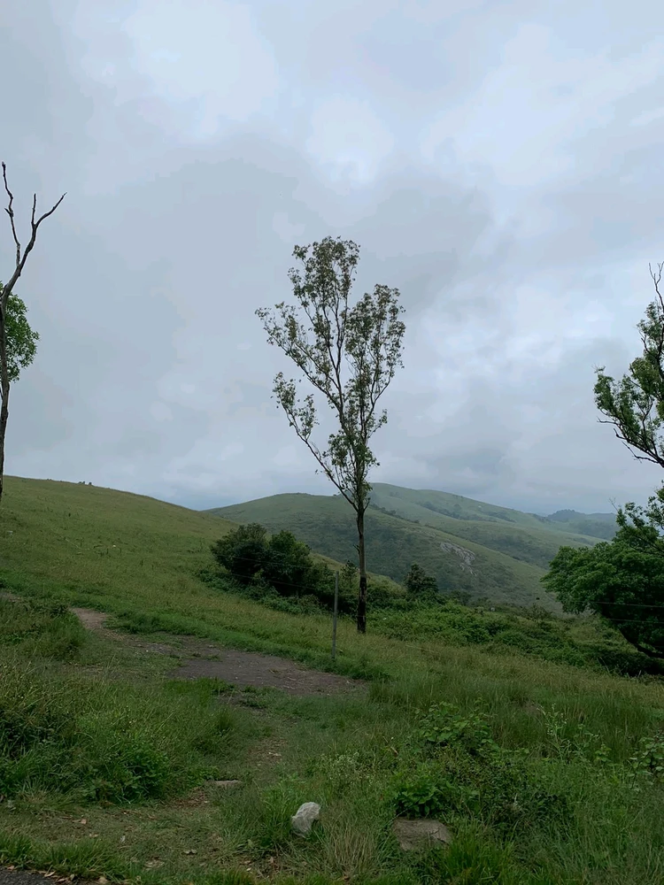 Image uploaded by Aarnav