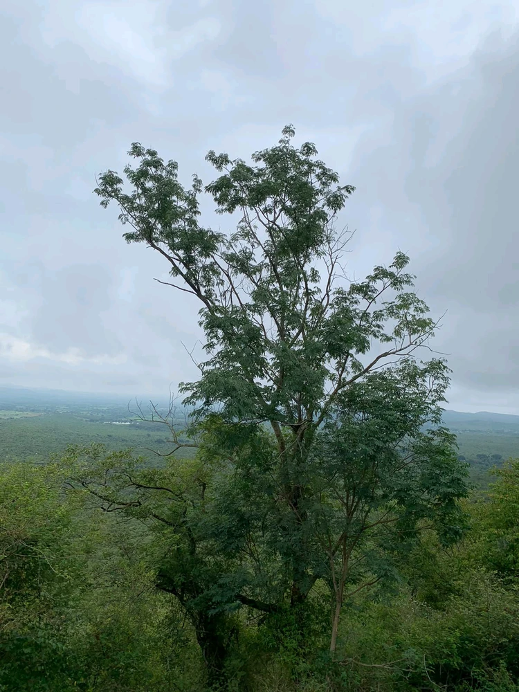 Image uploaded by Aarnav