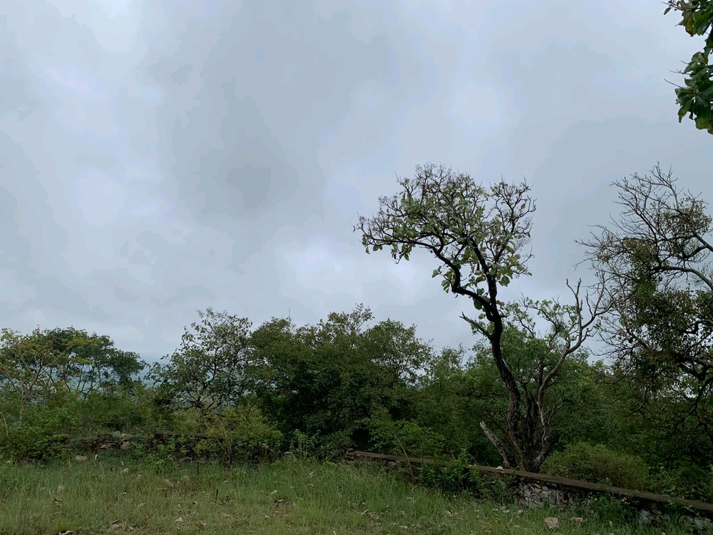 Image uploaded by Aarnav