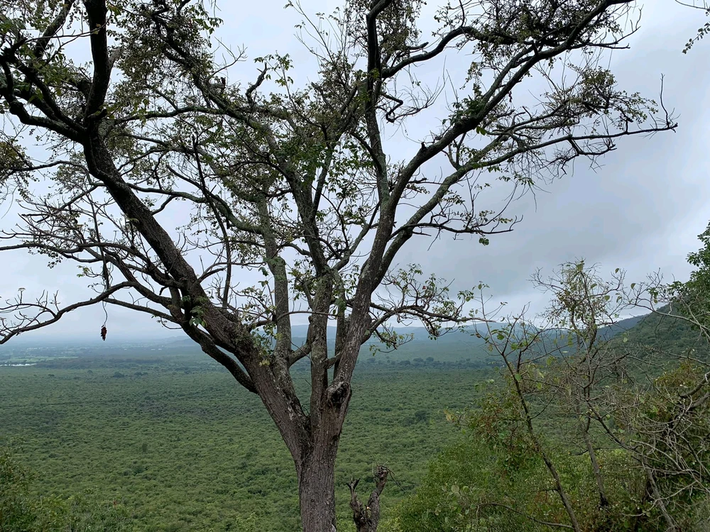 Image uploaded by Aarnav