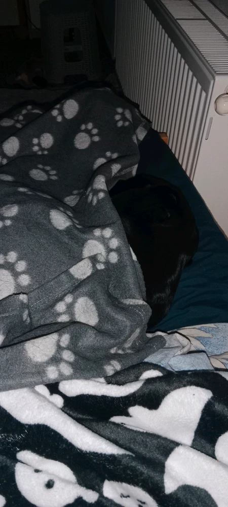 GIF качен от Luna