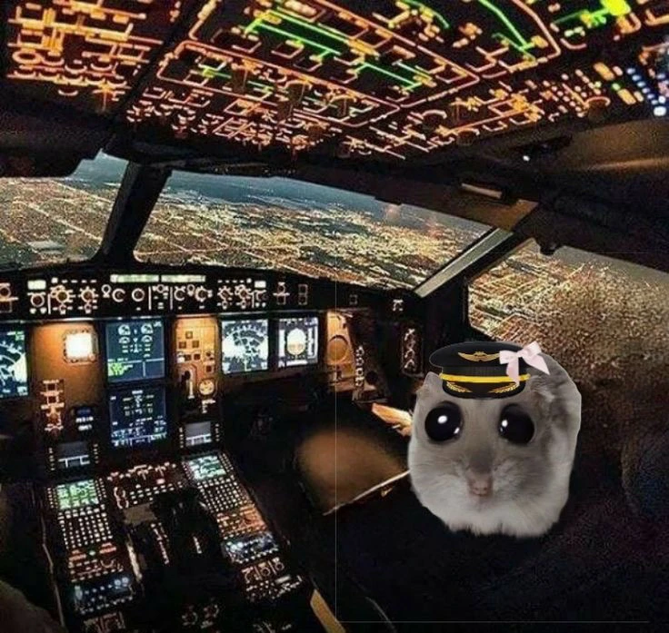 Kat байршуулсан GIF