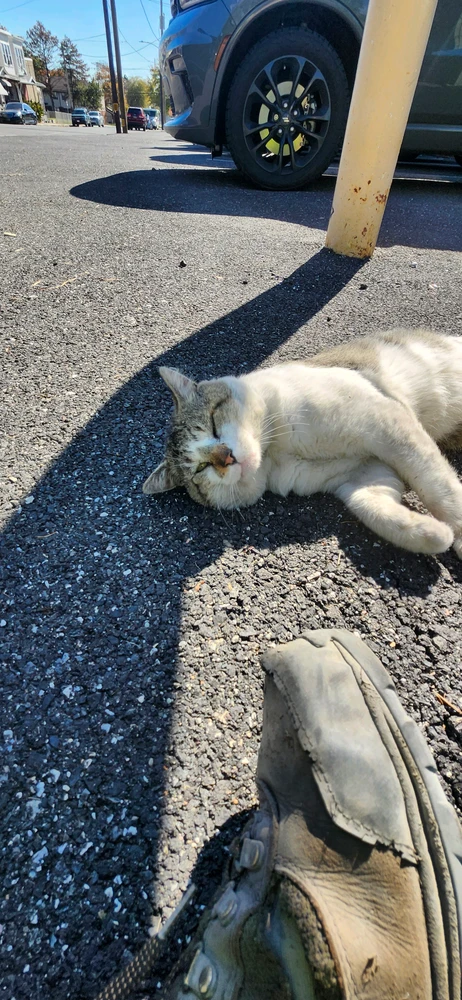 GIF качен от Fran