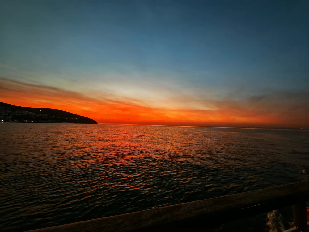 Image uploaded by Demir