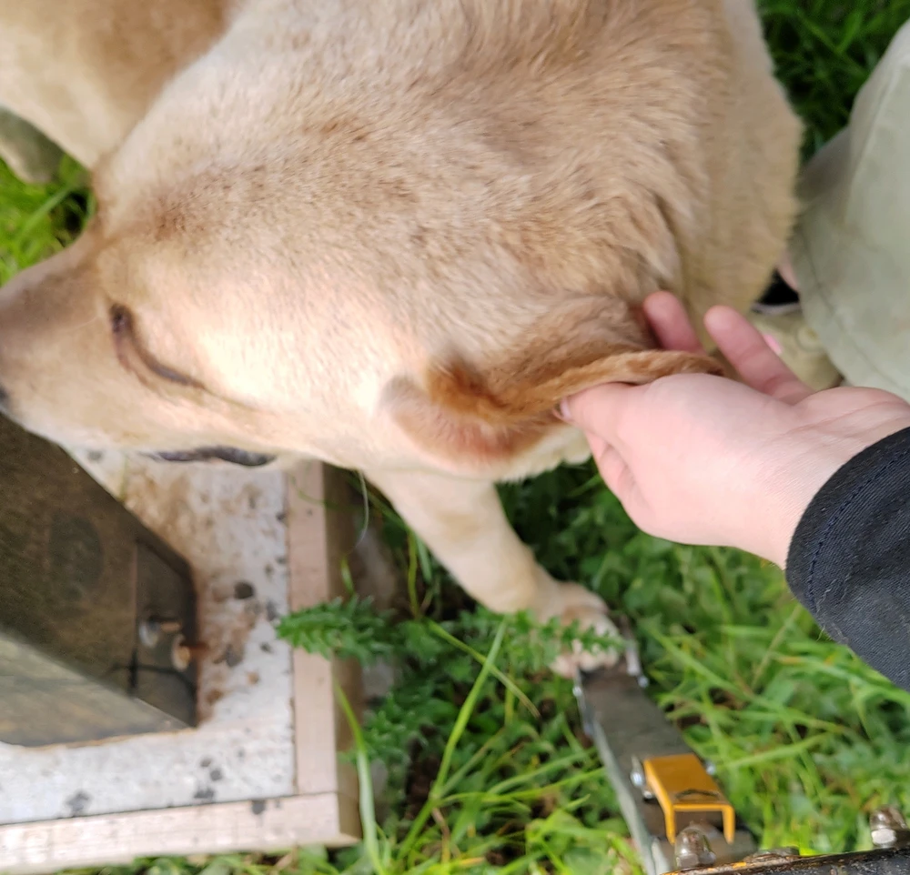 Àwòrán tí Aleea fi sí