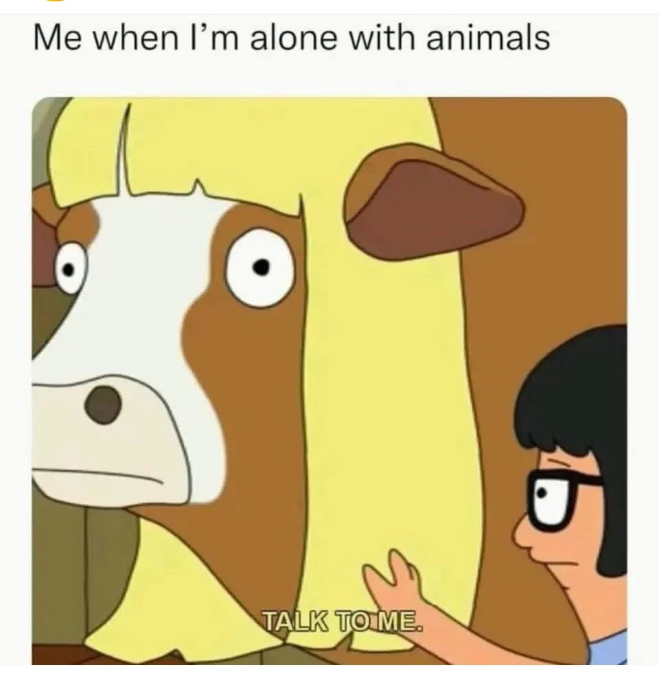 Sunn, байршуулсан GIF
