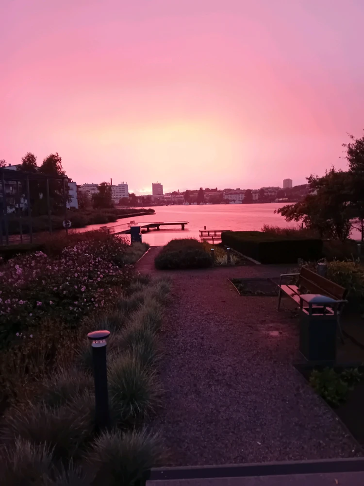 GIF uploaded by Robin