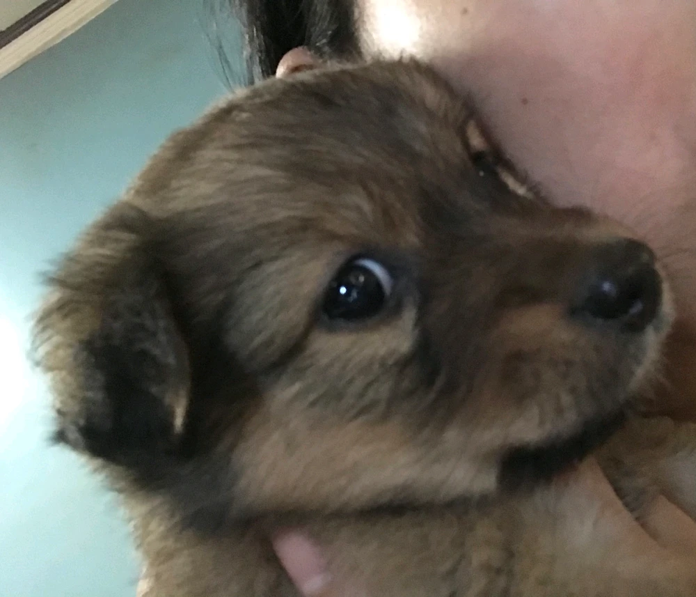 mariii 上傳的 GIF