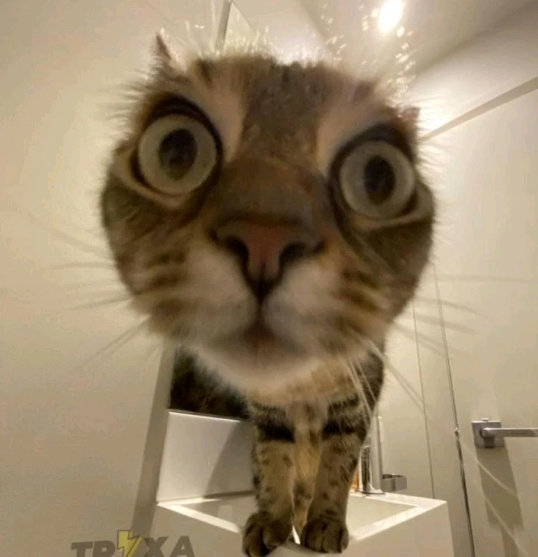 GIF uploaded by Googli