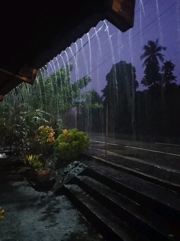 Image uploaded by Ani