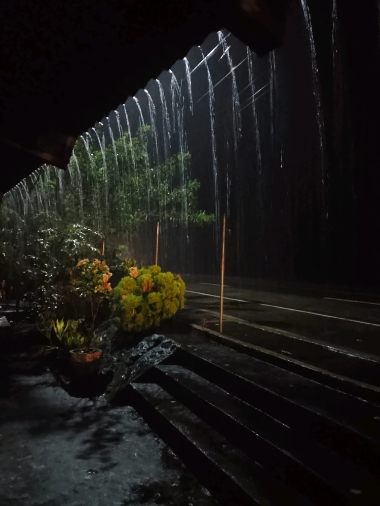 Image uploaded by Ani
