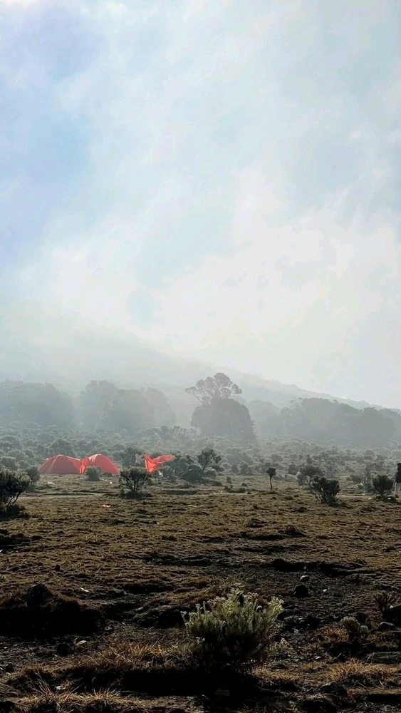Wêne ji aliyê アイニ ve hatiye barkirin