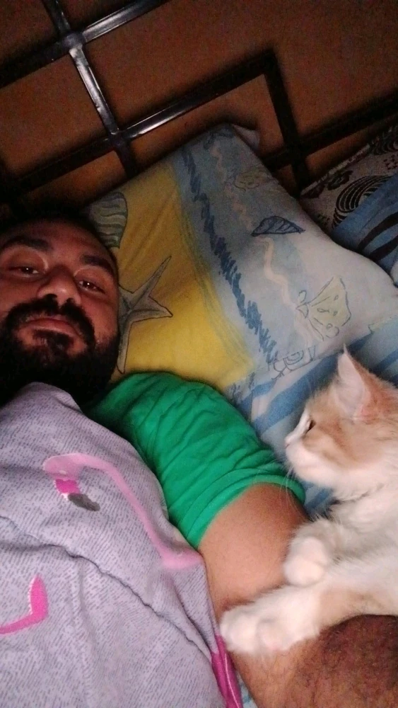 Amr 上傳的 GIF