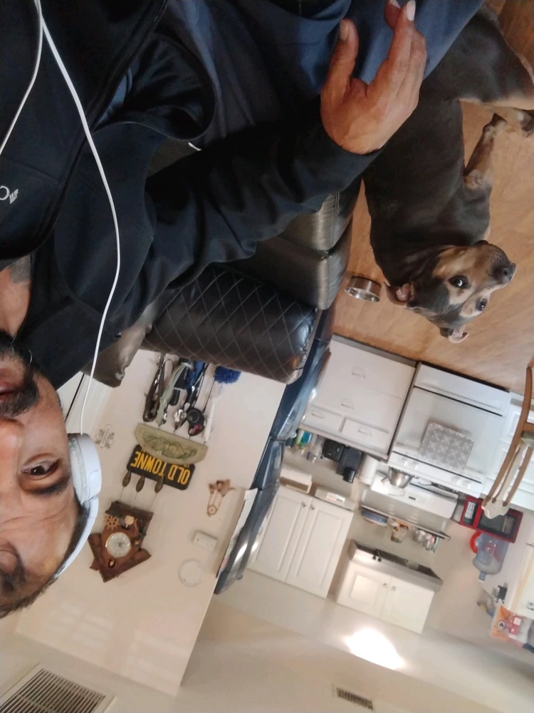 GIF uploaded by Felix