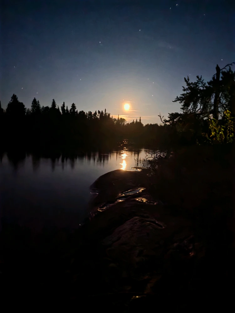 GIF တင်သူ - Jordan