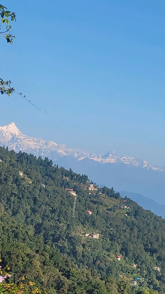 Image uploaded by Soham Chatterjee