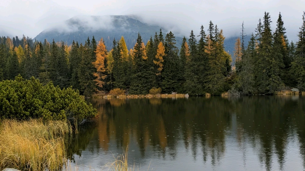 Image uploaded by Juraj