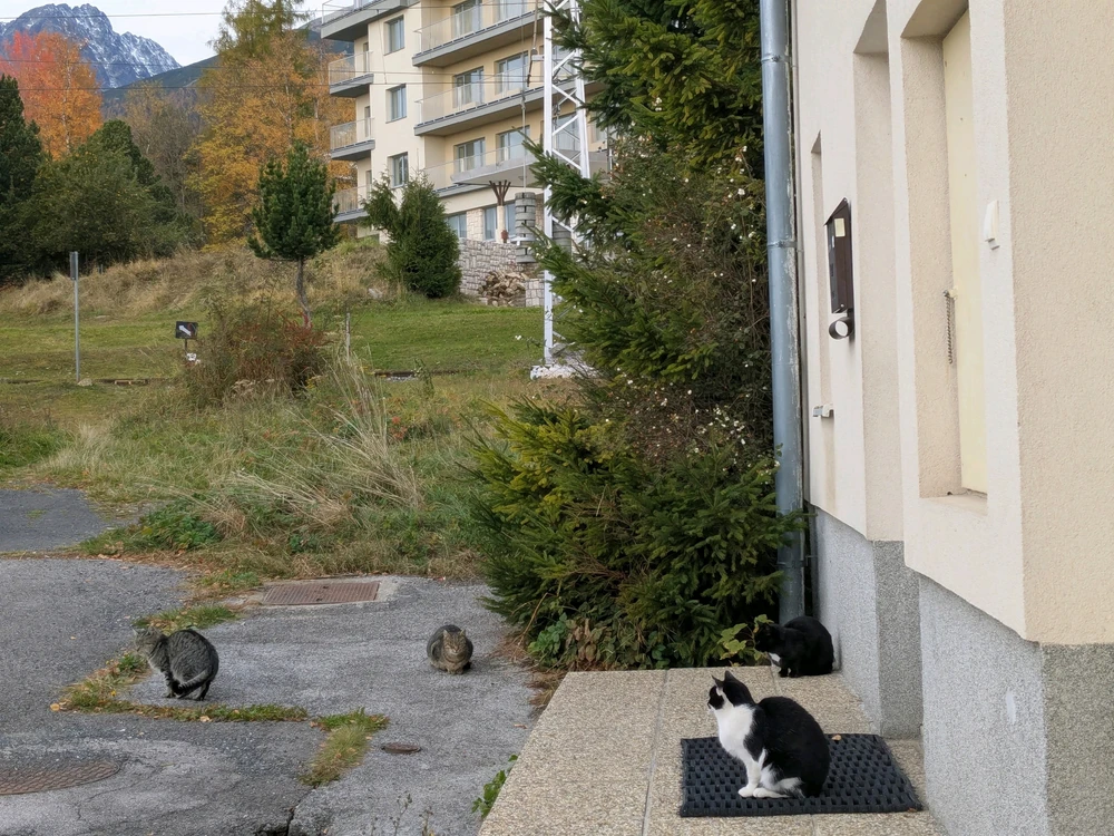 Image uploaded by Juraj