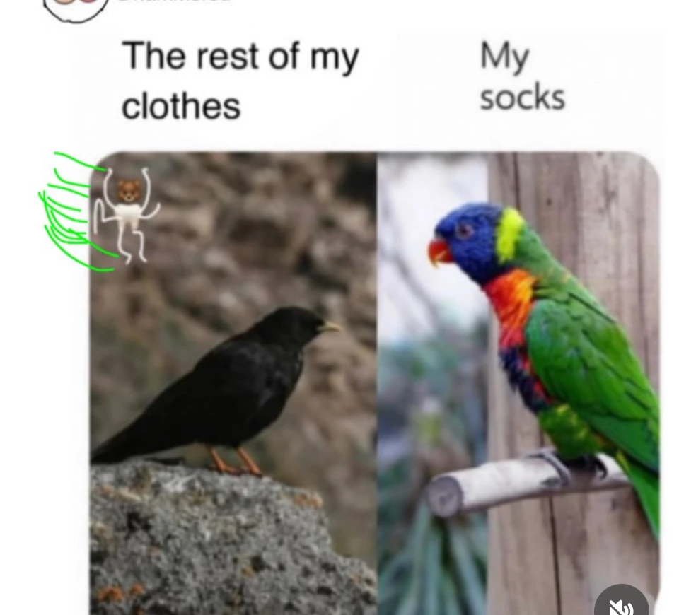 GIF رفعها Sunn,