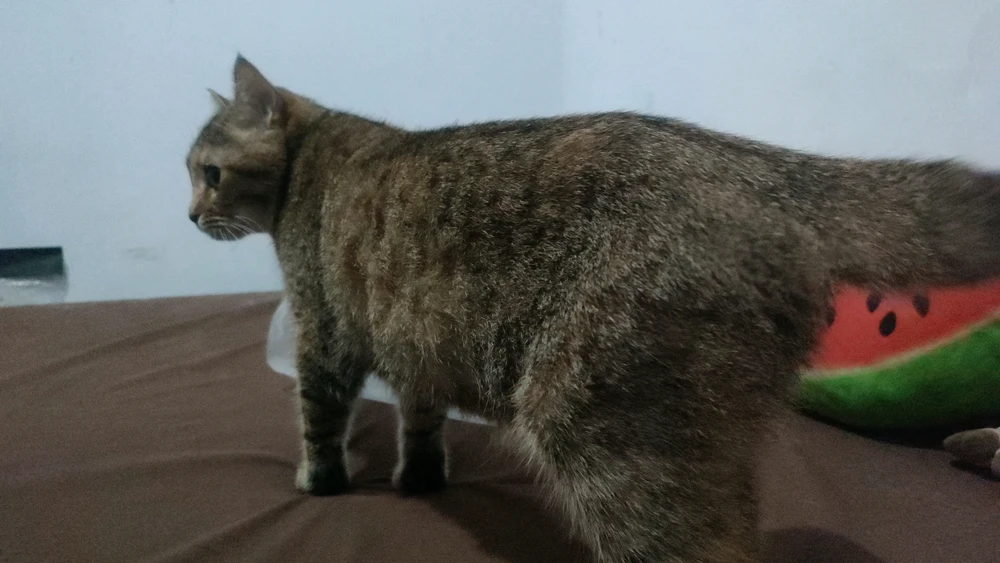 Image uploaded by ꨄ𝐃ꨄ