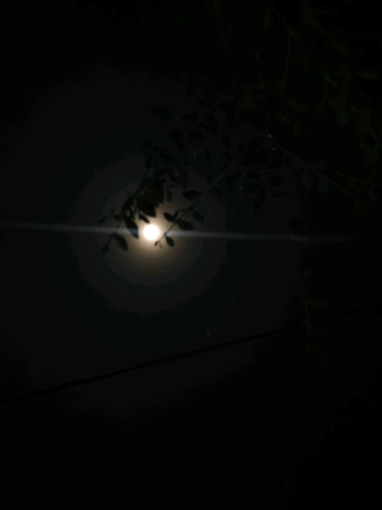GIF uploaded by ZHR
