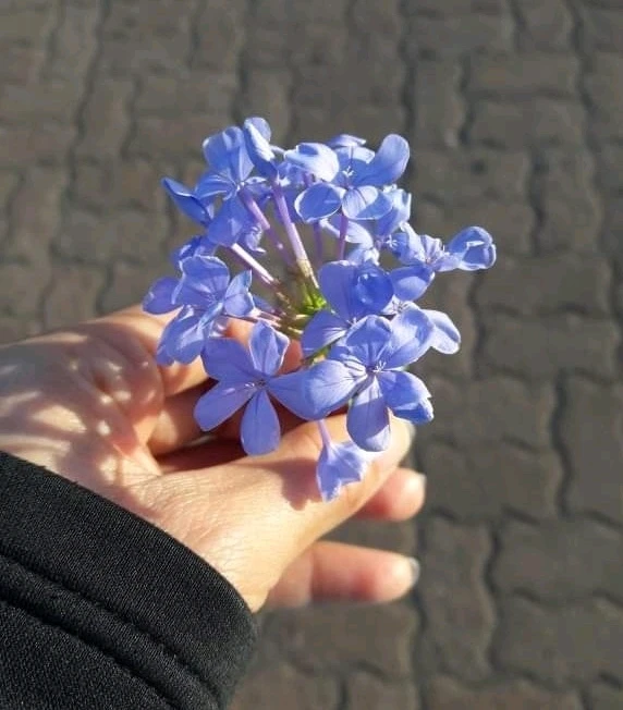 Ann 上傳的 GIF
