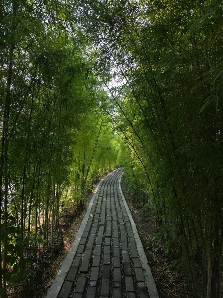 Angel上傳的圖片