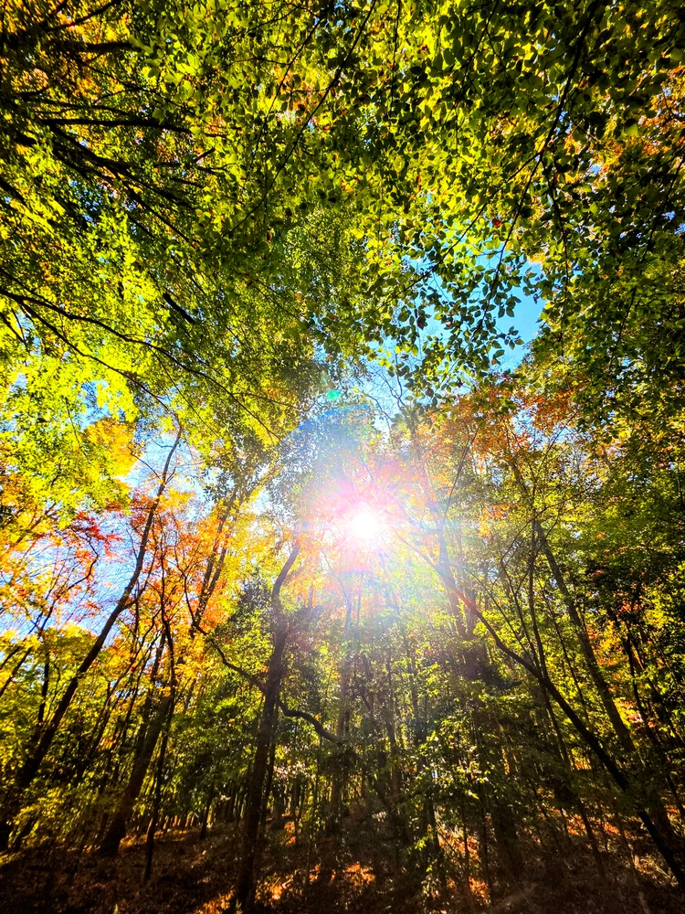Bild hochgeladen von Dani
