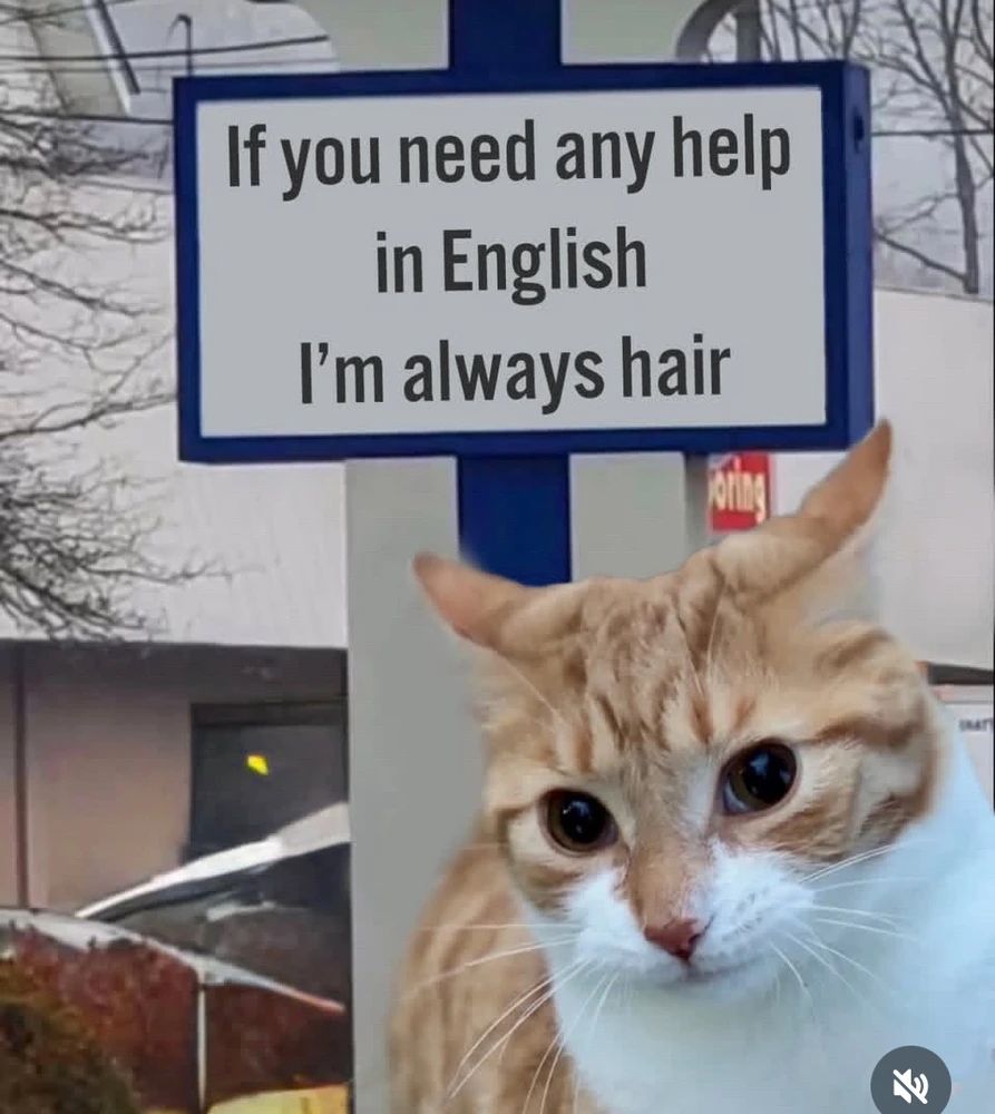 GIF dodany przez Sunn,