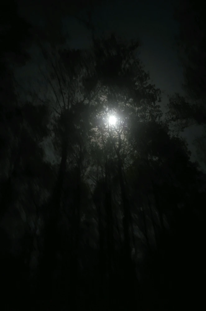 GIF uploaded by Glade