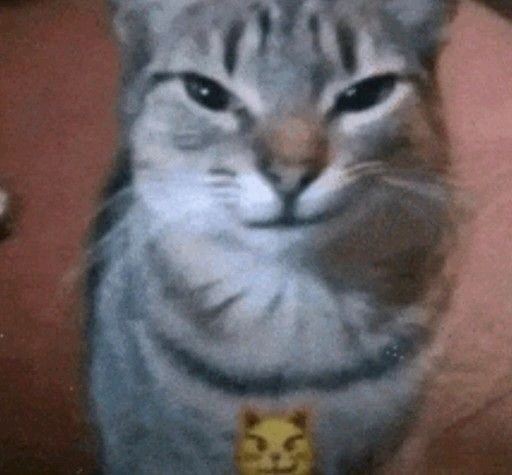Sebastian 上傳的 GIF