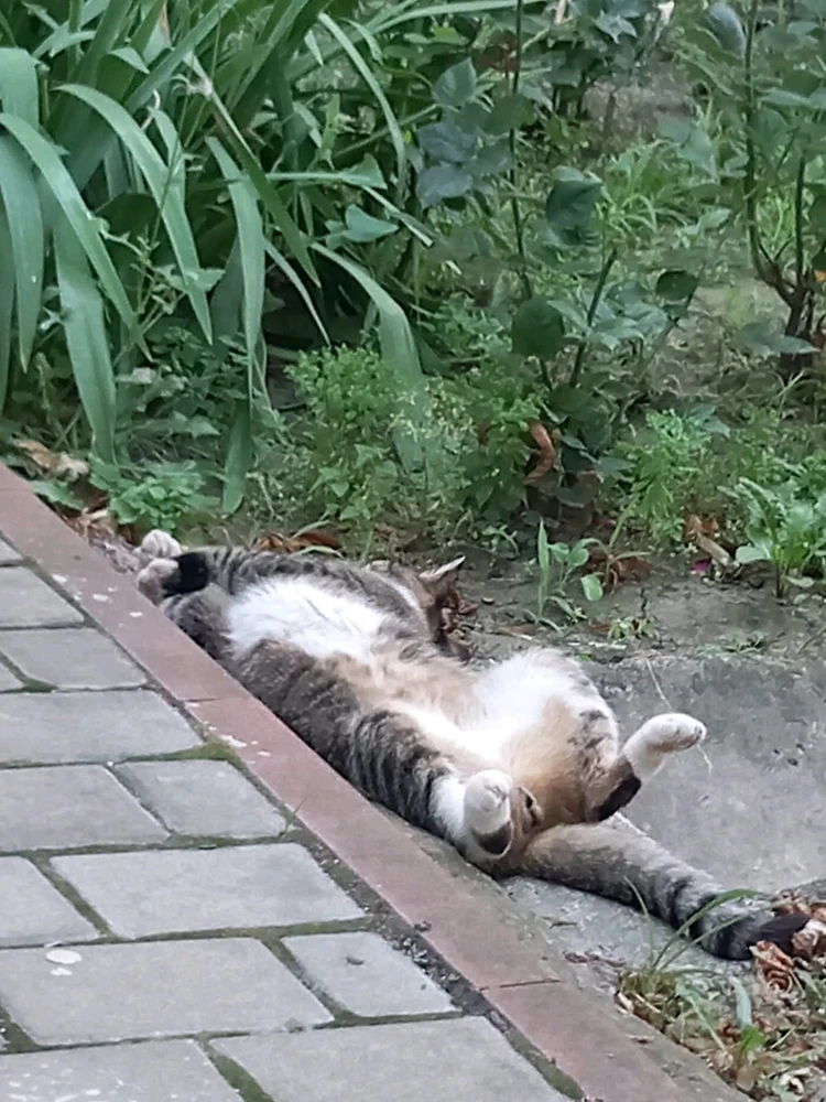 GIF įkėlė Iulia